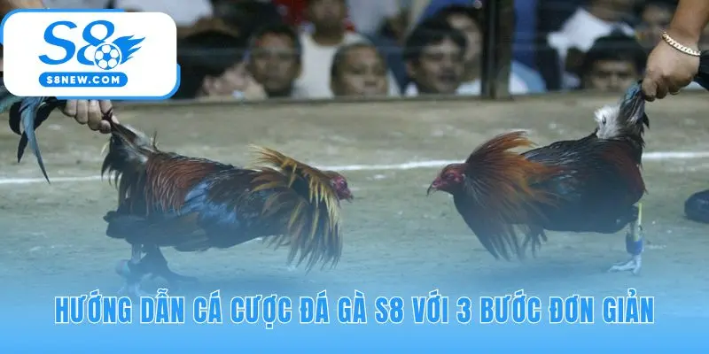 Hướng dẫn cá cược S8 giúp tham gia nhanh gọn trong 3 bước