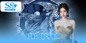 Rồng Bạch Kim | Soi Cầu XSMB Hôm Nay - Chốt Số Cùng S8