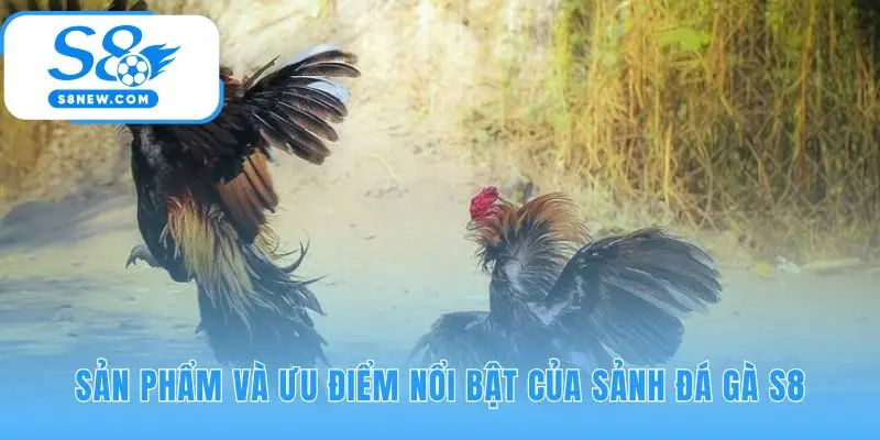 Để tự tin tham gia, bạn cần nắm vững ý nghĩa của ba loại kèo cược cơ bản.